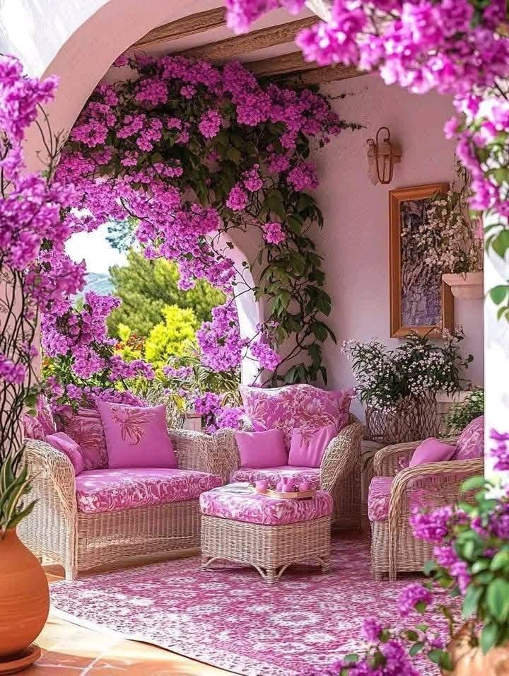 Elegant Climbing Rose Flower Seeds